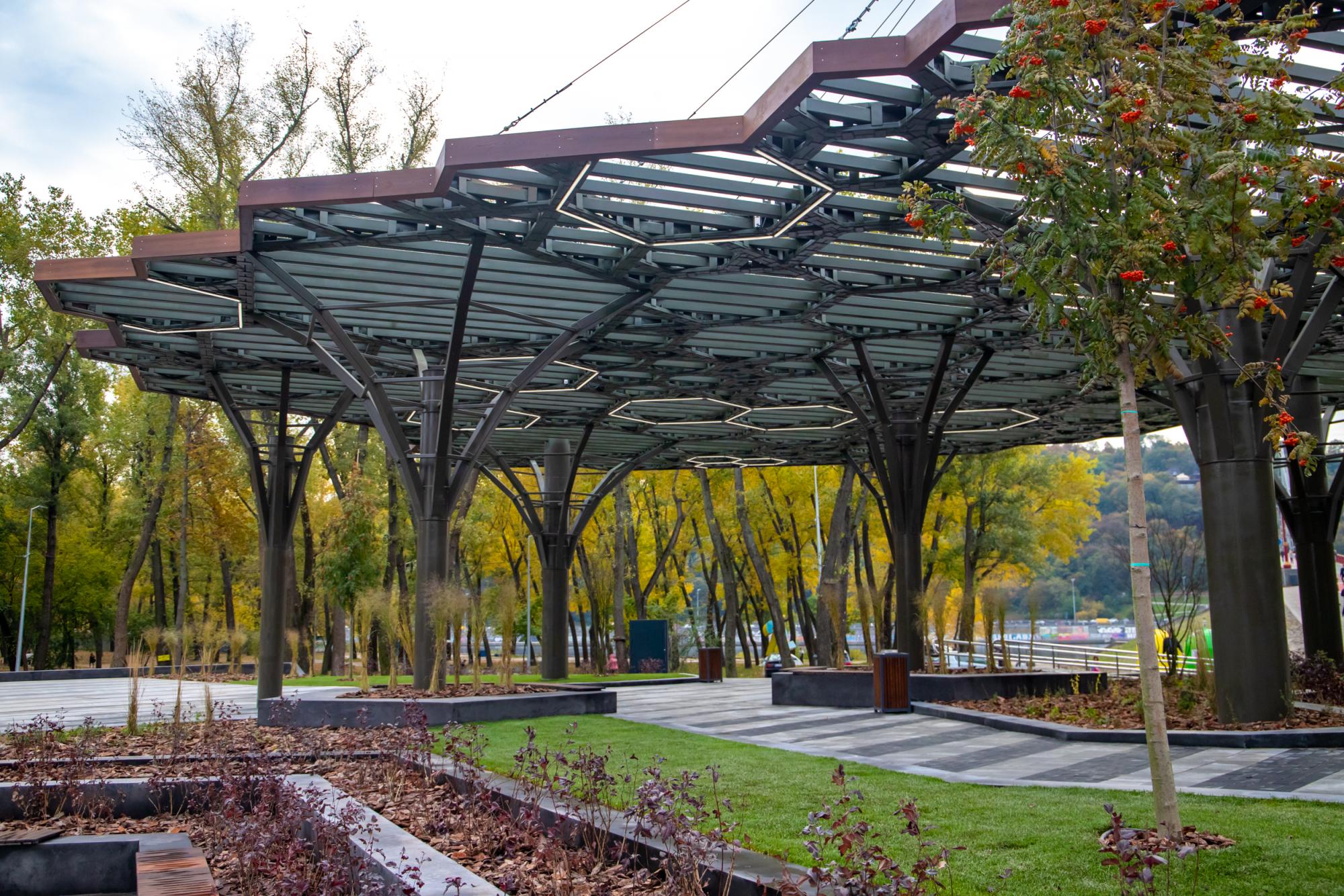 Алея сакур та &quot;німецький&quot; квартал: кращі ідеї для прогулянок на вихідних